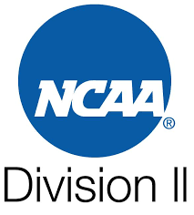 D2 Logo